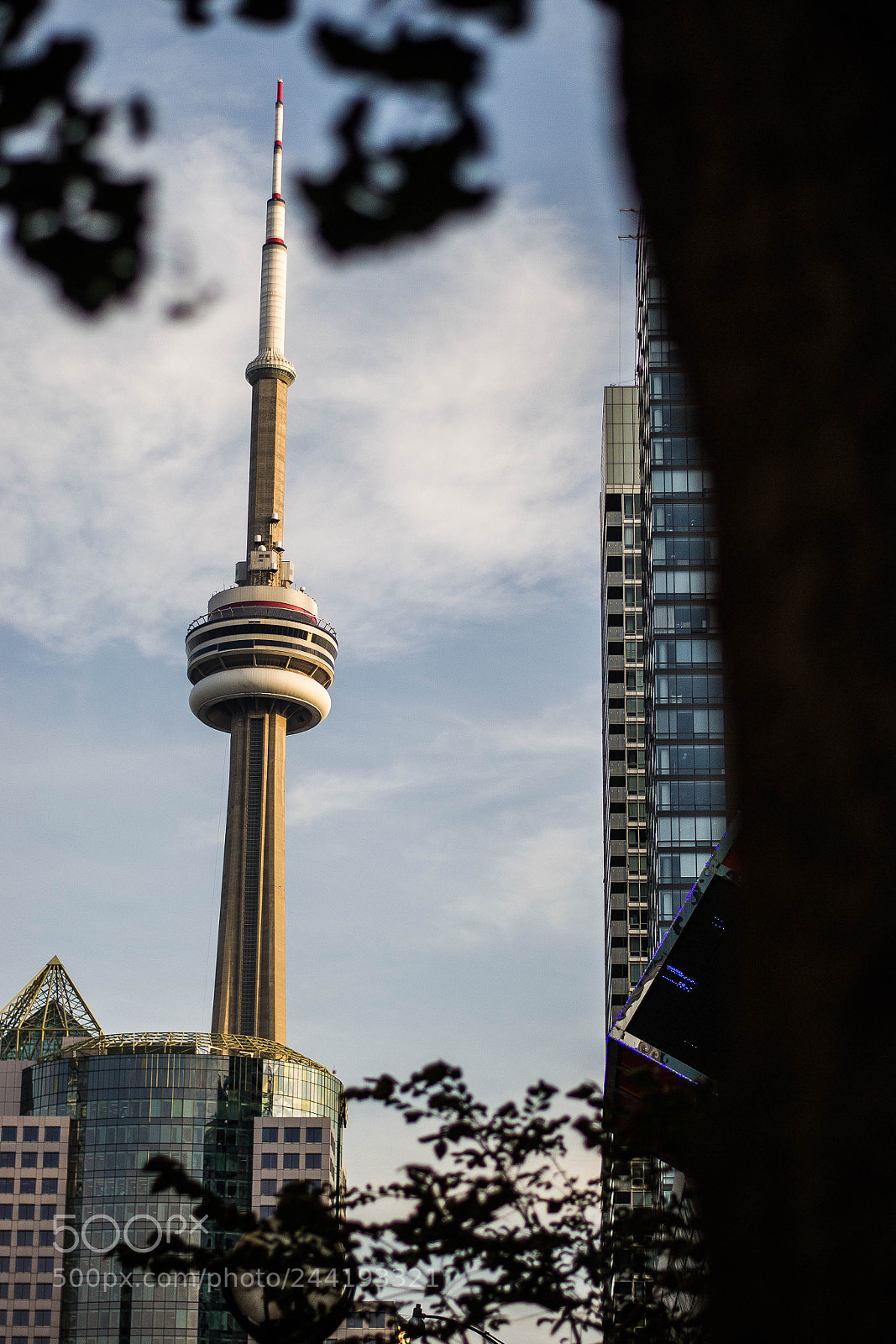 Nikon D3100 sample photo. Looming photography