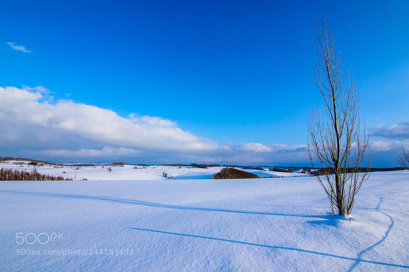 Canon EOS 7D Mark II sample photo. Untitled photography