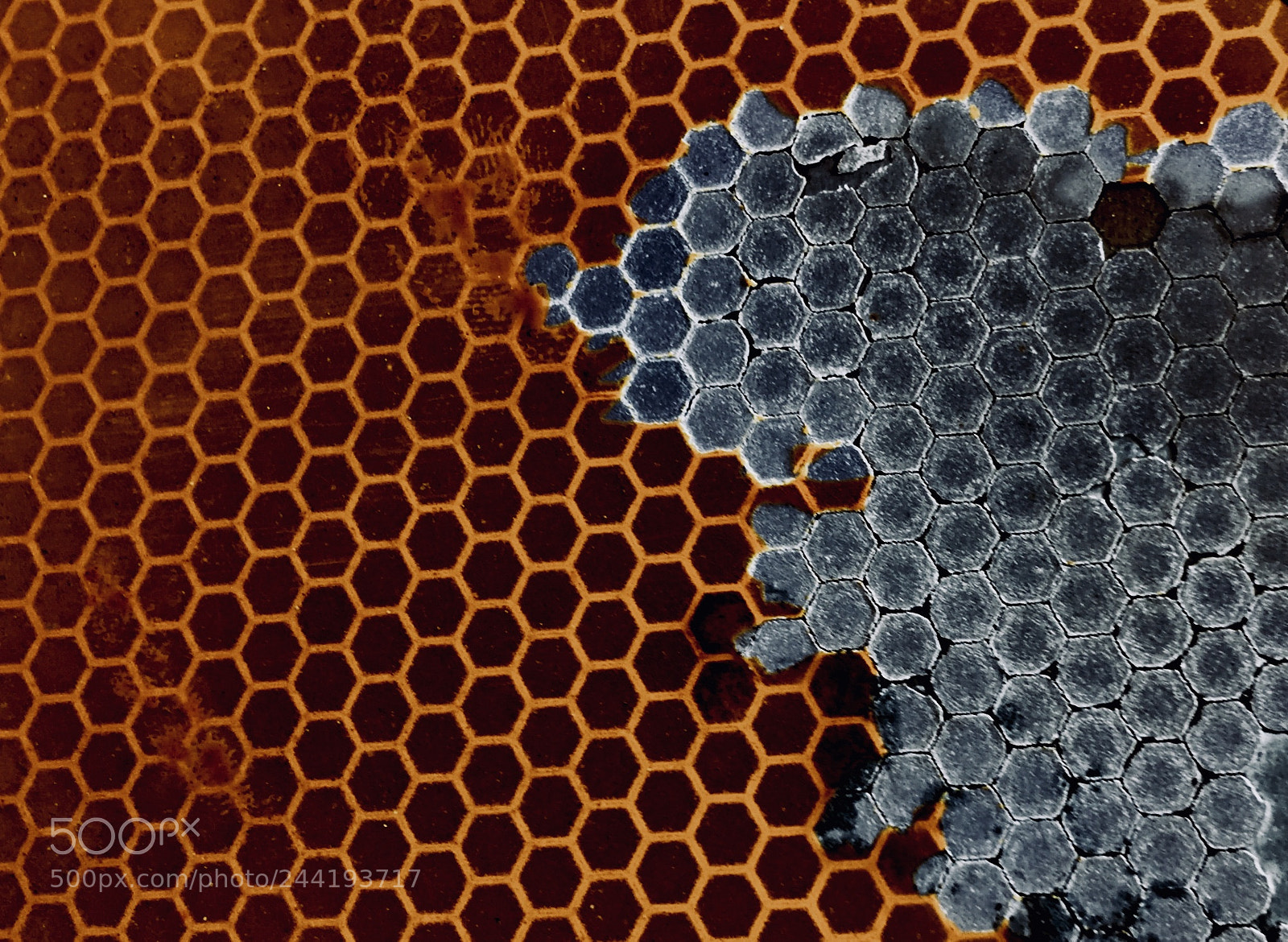 Apple iPhone 6 Plus sample photo. Colorful pattern photography