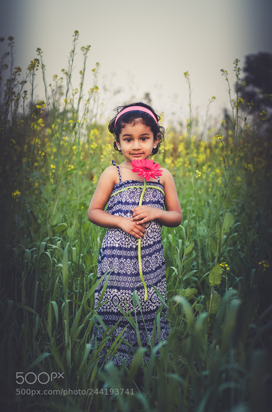 Nikon D5100 sample photo. The moody photography