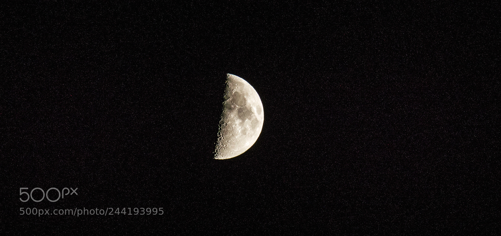 Nikon D3200 sample photo. Untitled photography