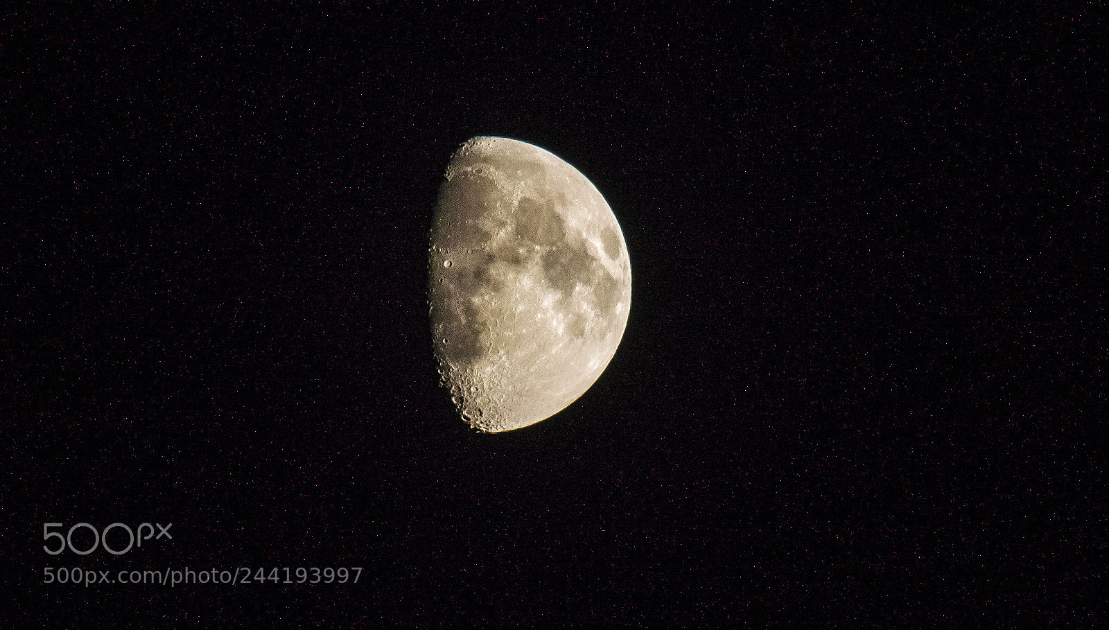 Nikon D3200 sample photo. Untitled photography