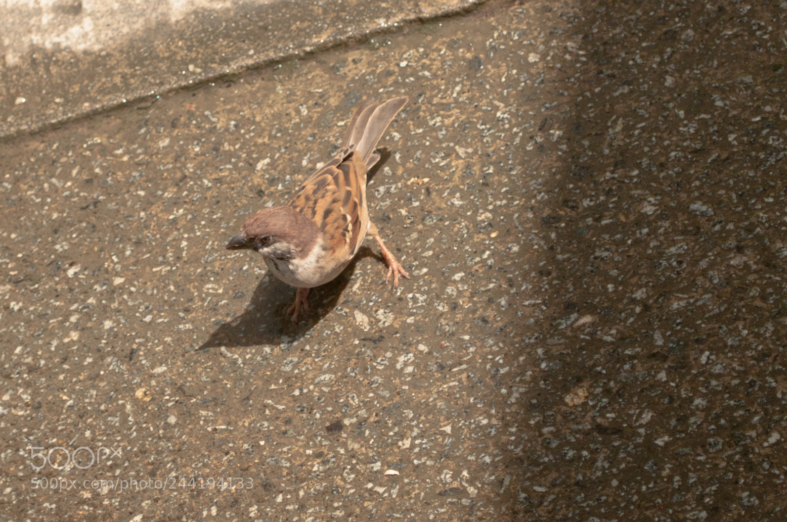 Nikon D5000 sample photo. Aaaxgt o photography