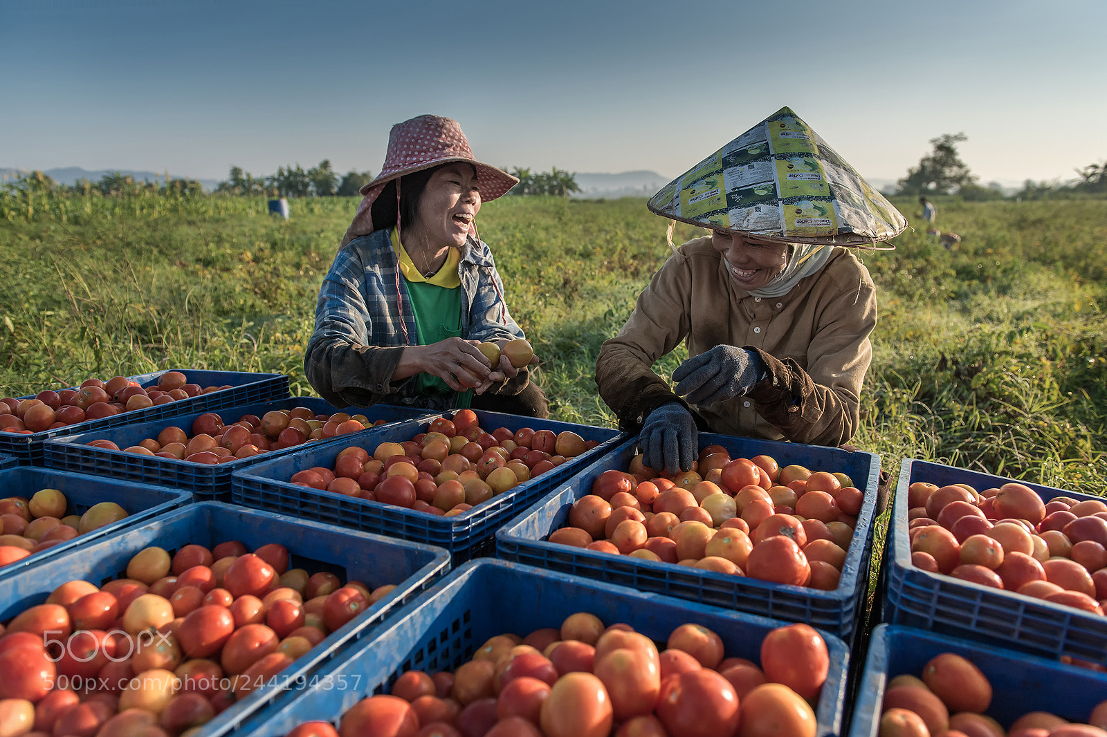 Nikon D810 sample photo. ็happiness photography