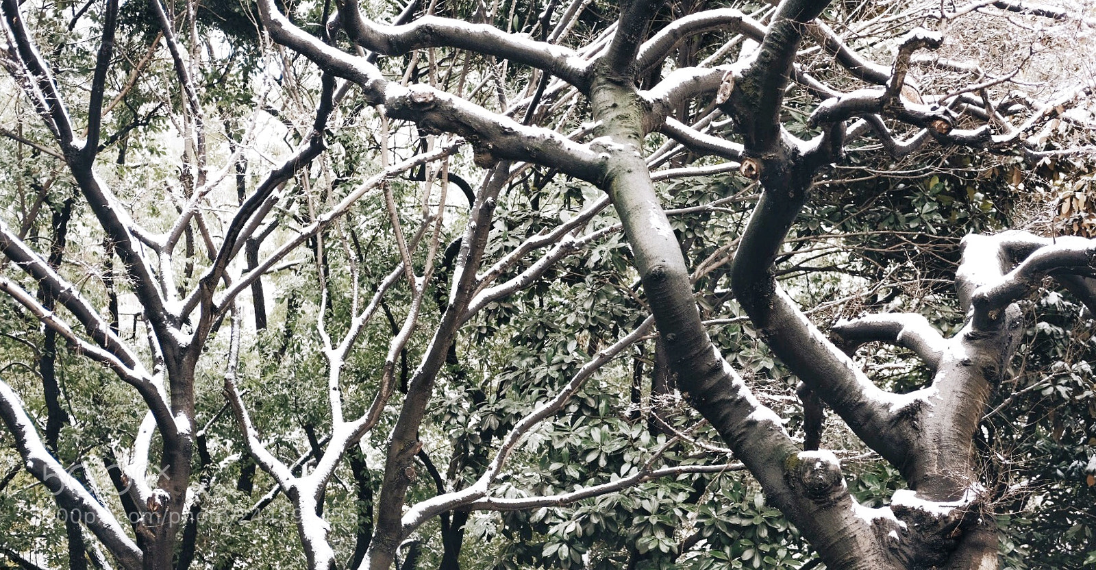 Fujifilm X-T2 sample photo. Untitled photography