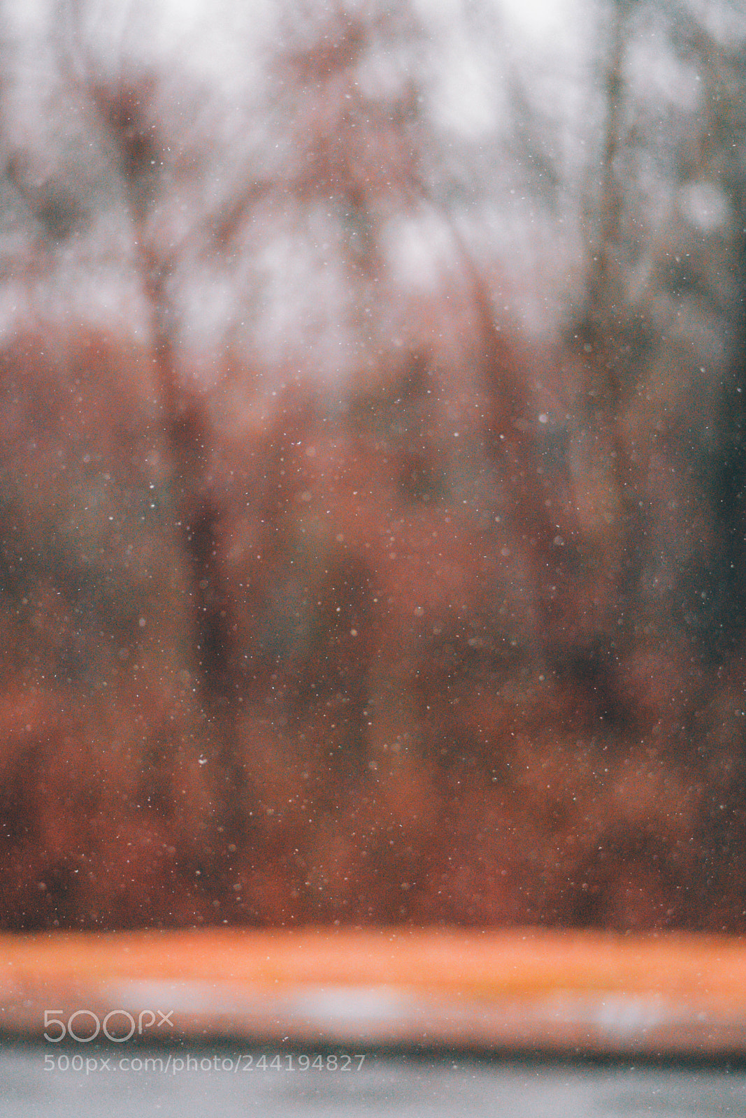 Sony a7R II sample photo. Frozen in time photography