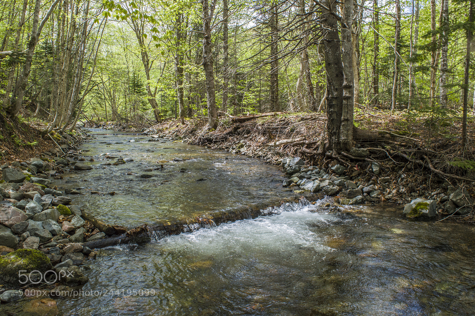 Nikon D3200 sample photo. Work on the river photography