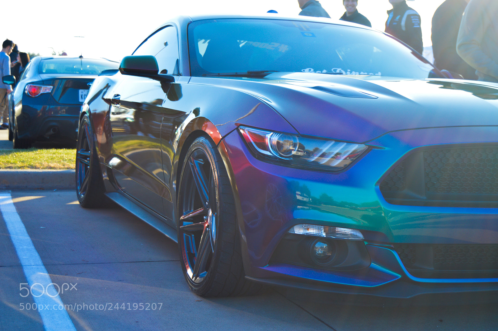 Nikon D3200 sample photo. Mustang photography