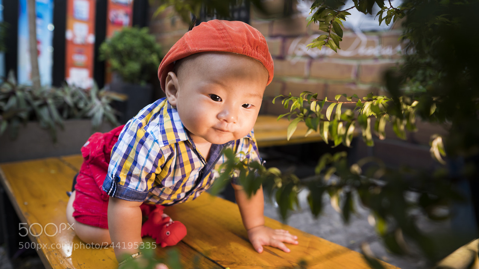 Sony a6300 sample photo. Duc photography