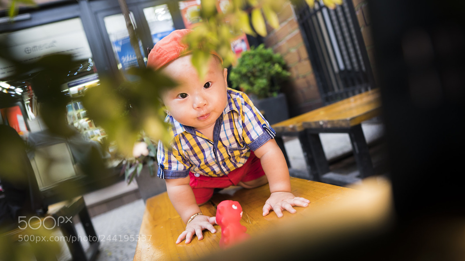 Sony a6300 sample photo. Duc photography