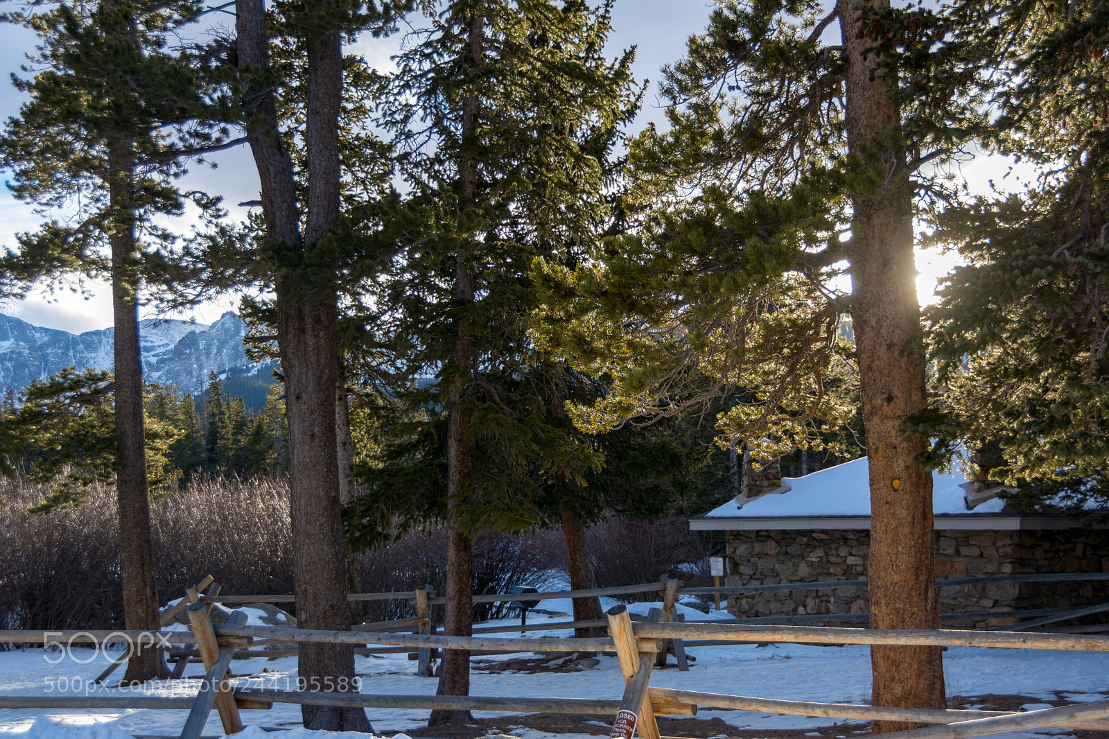 Nikon D7100 sample photo. The lodge photography