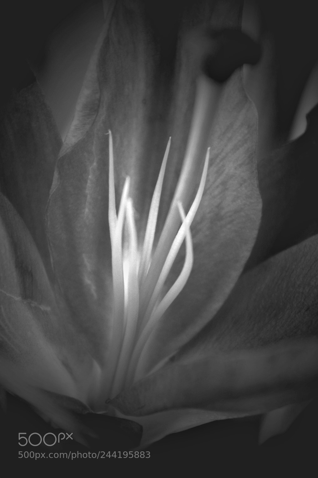 Fujifilm X-T2 sample photo. Untitled photography