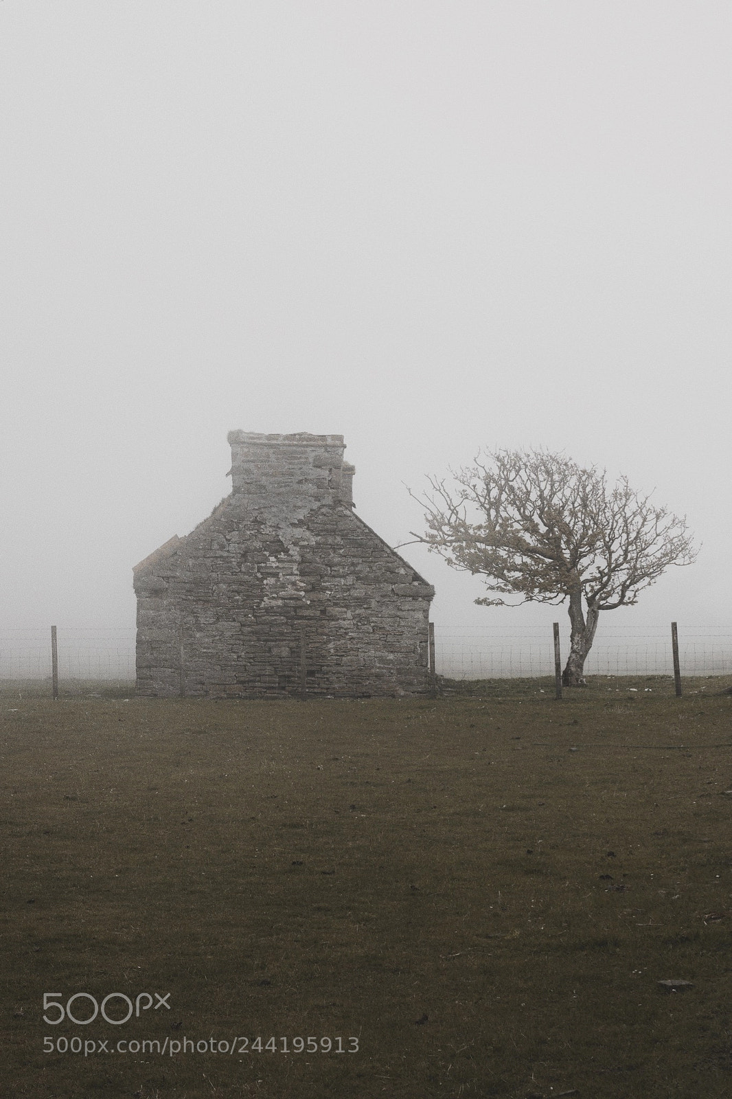 Canon EOS 70D sample photo. House & tree & fog photography