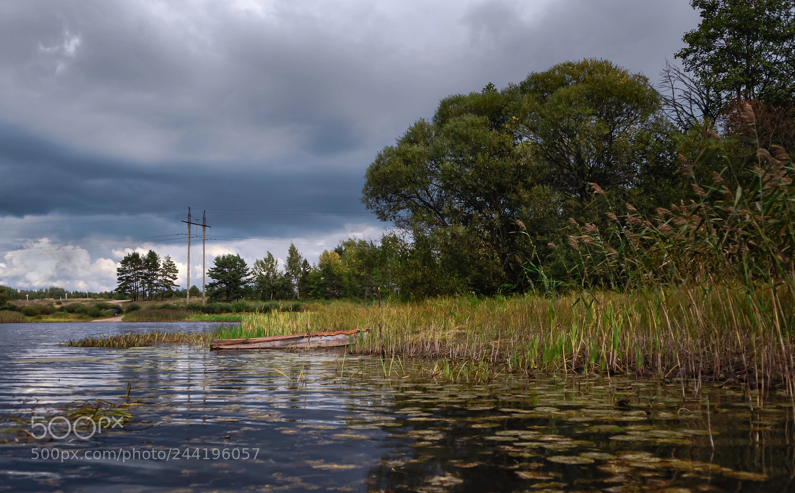 Nikon D700 sample photo. Lake uzhinskoe. pskov region. photography