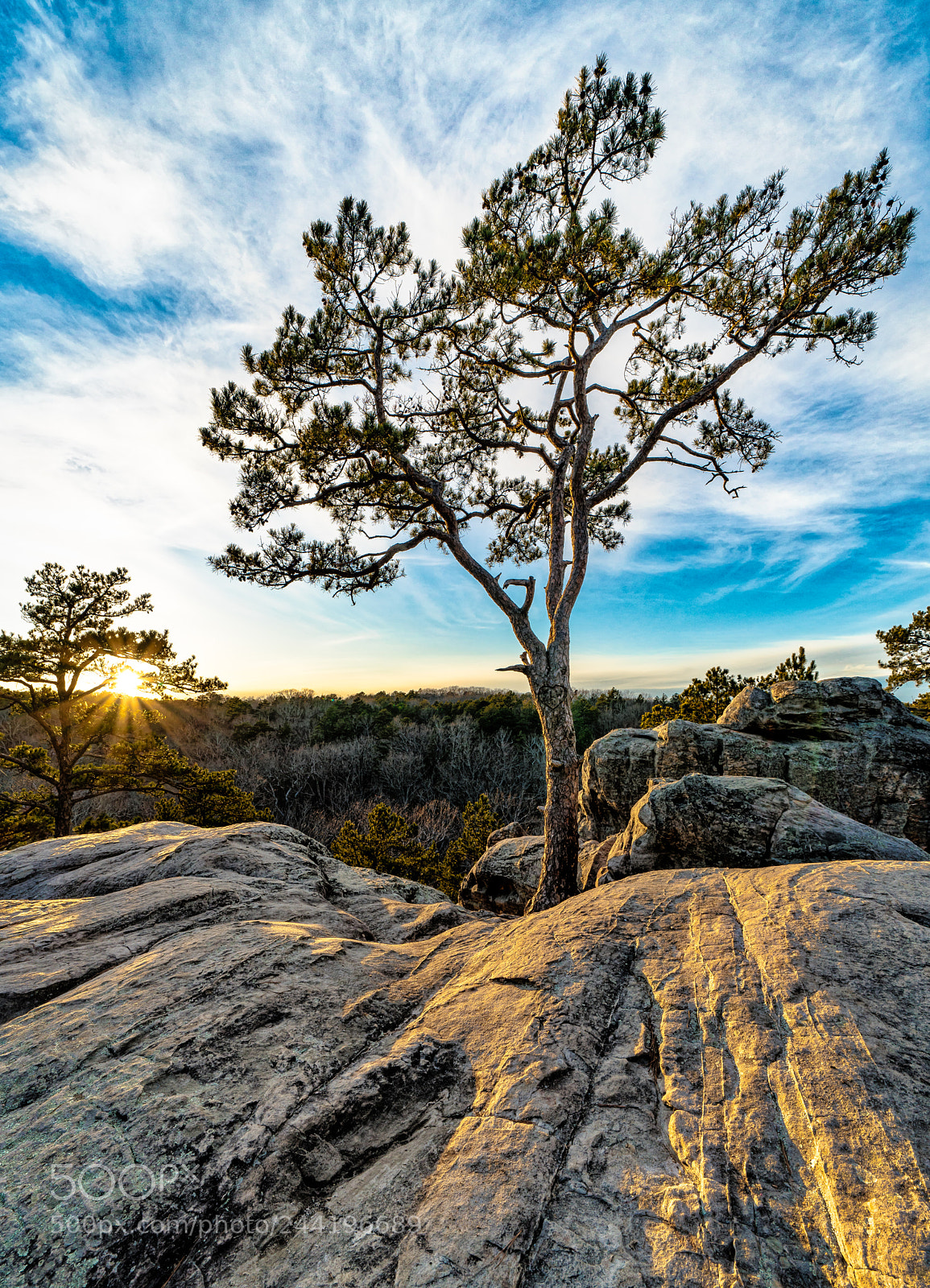 Sony a7R III sample photo. Last rays photography