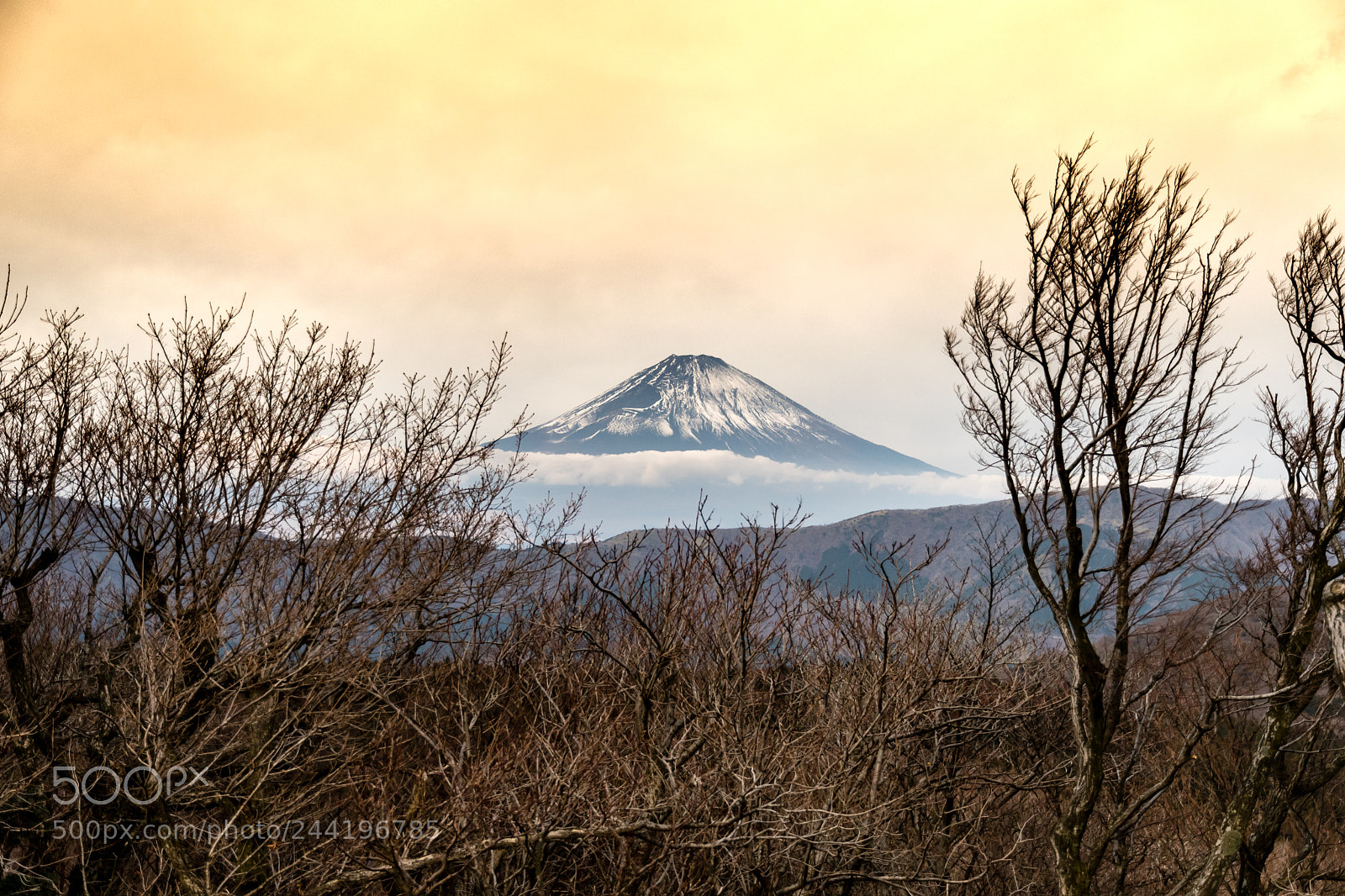 Nikon D500 sample photo. Mt fuji photography