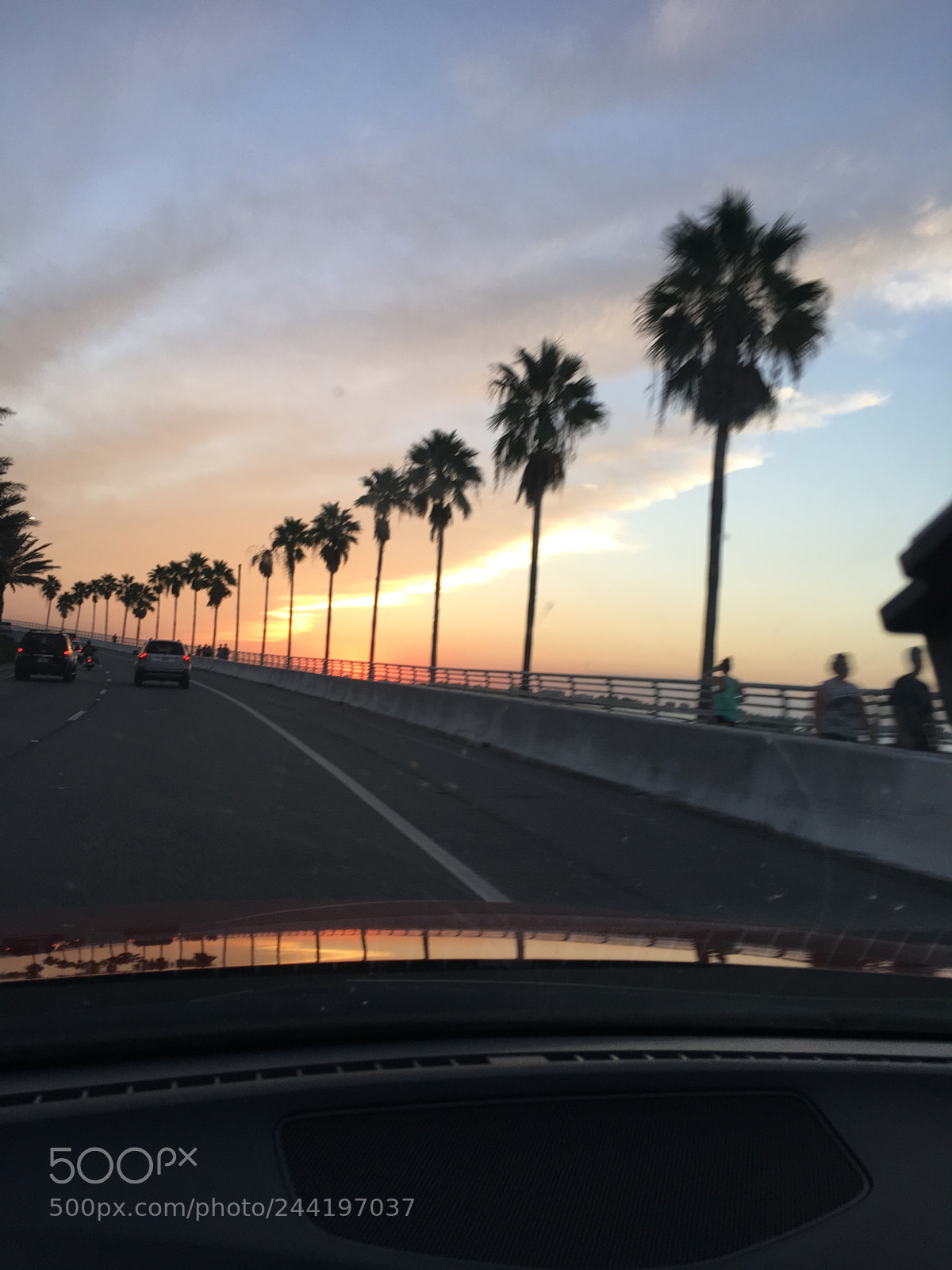 Apple iPhone 6s sample photo. Untitled photography