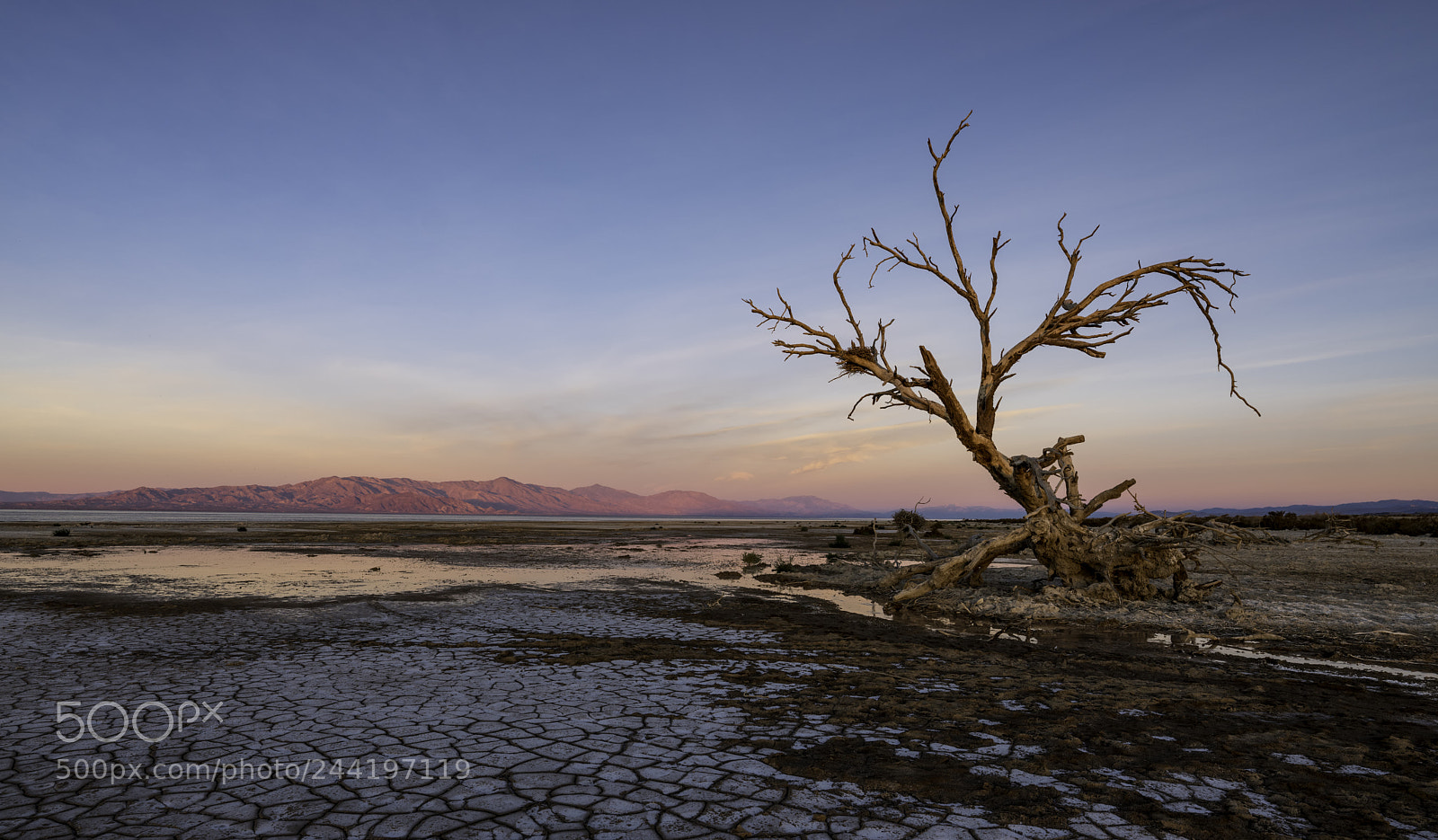 Fujifilm GFX 50S sample photo. Salton sunrise photography