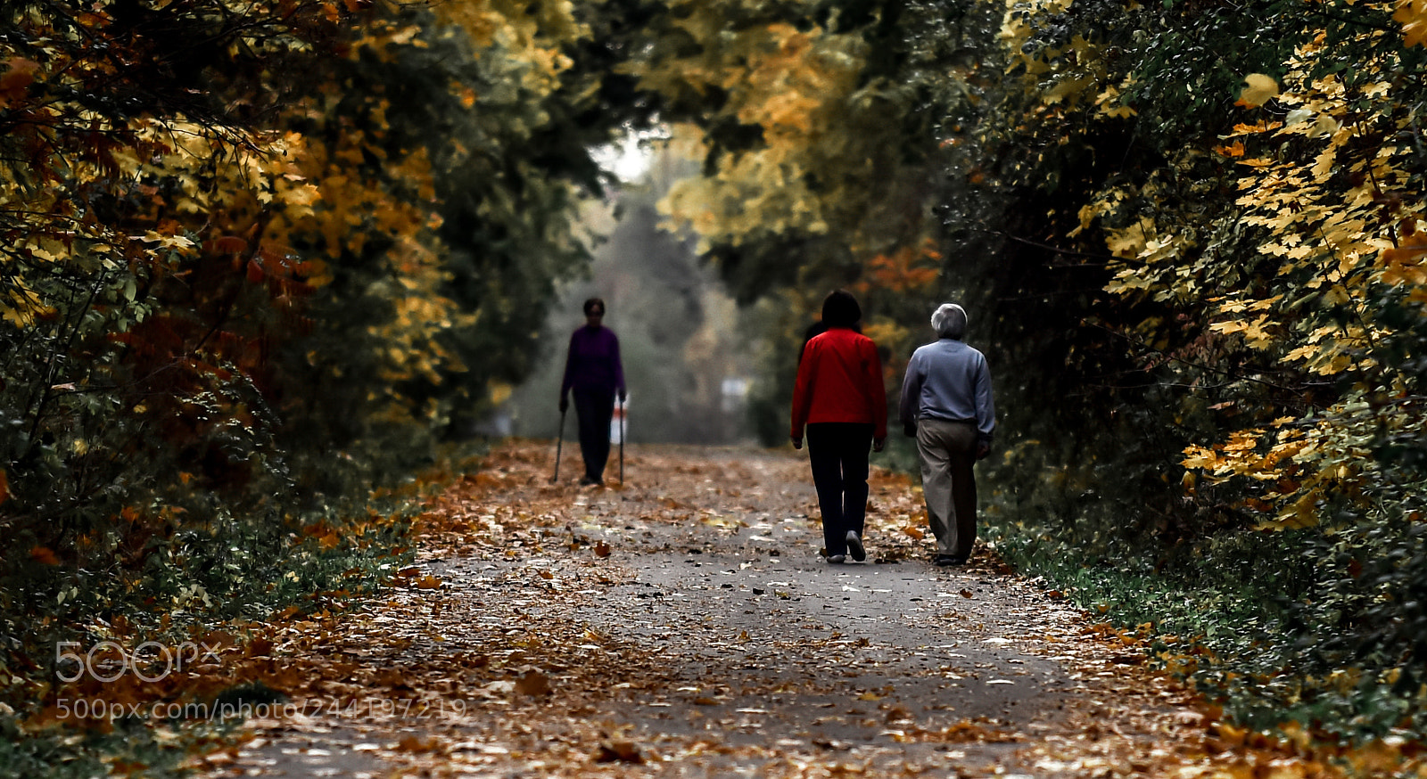 Nikon D810 sample photo. Long path photography