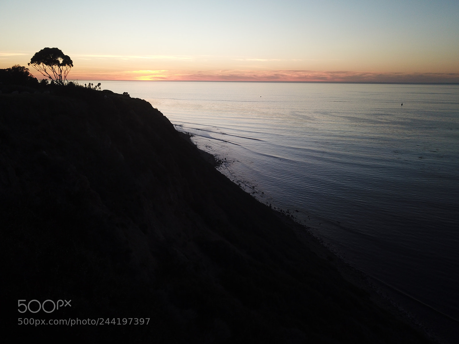 DJI FC220 sample photo. Single tree photography