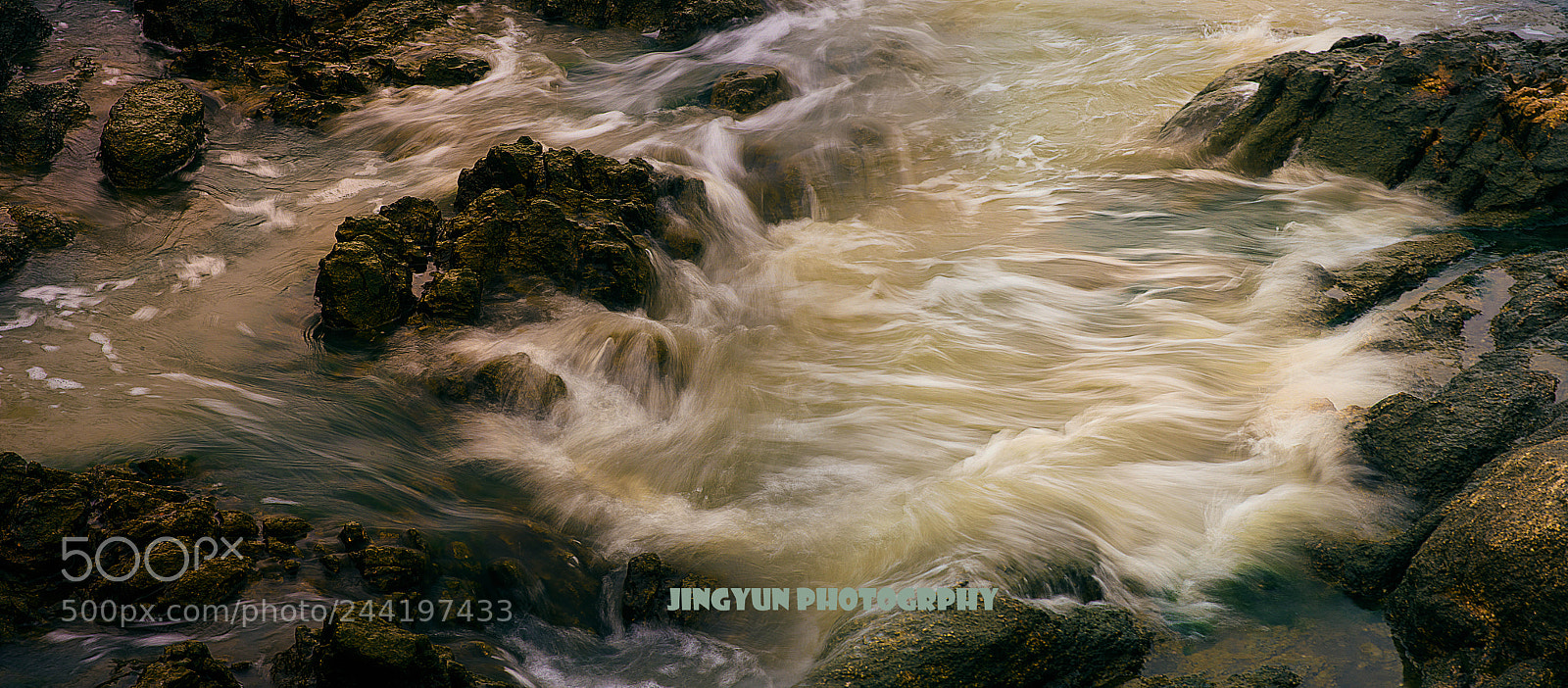 Nikon D810 sample photo. Untitled photography