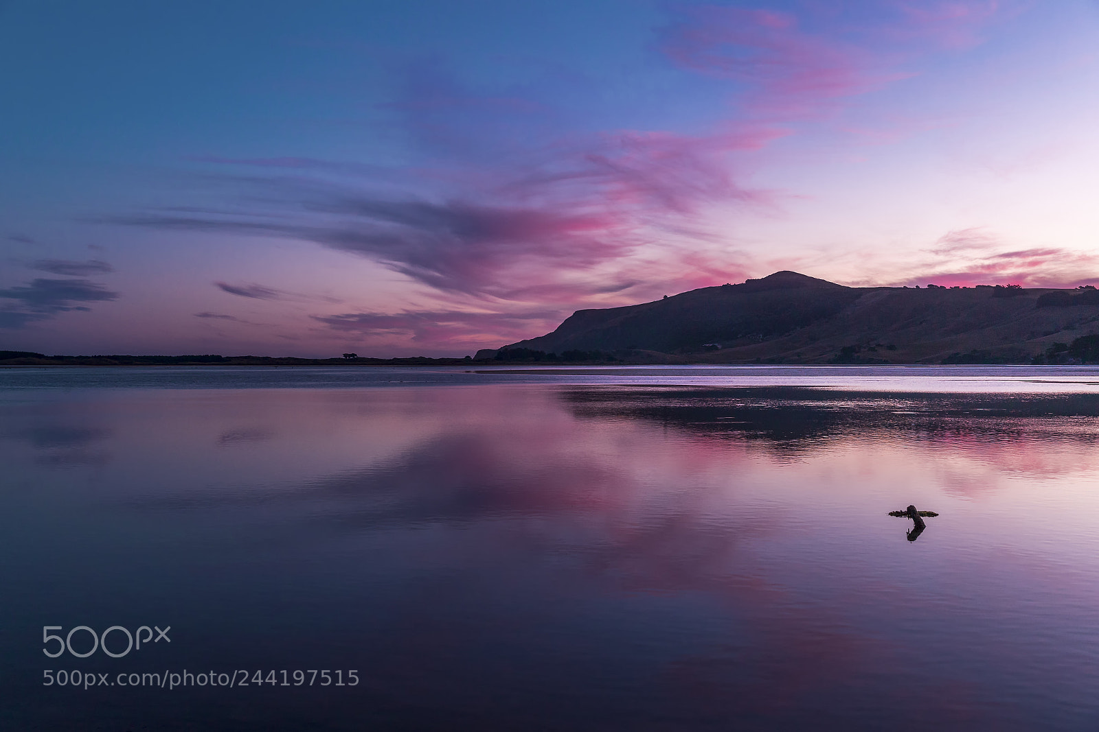 Canon EOS-1D X Mark II sample photo. When the last light photography