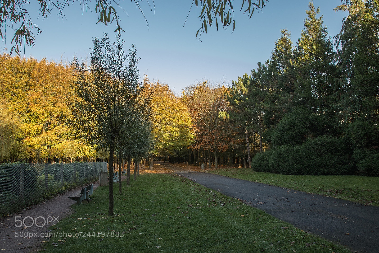 Canon EOS 7D Mark II sample photo. Ha photography