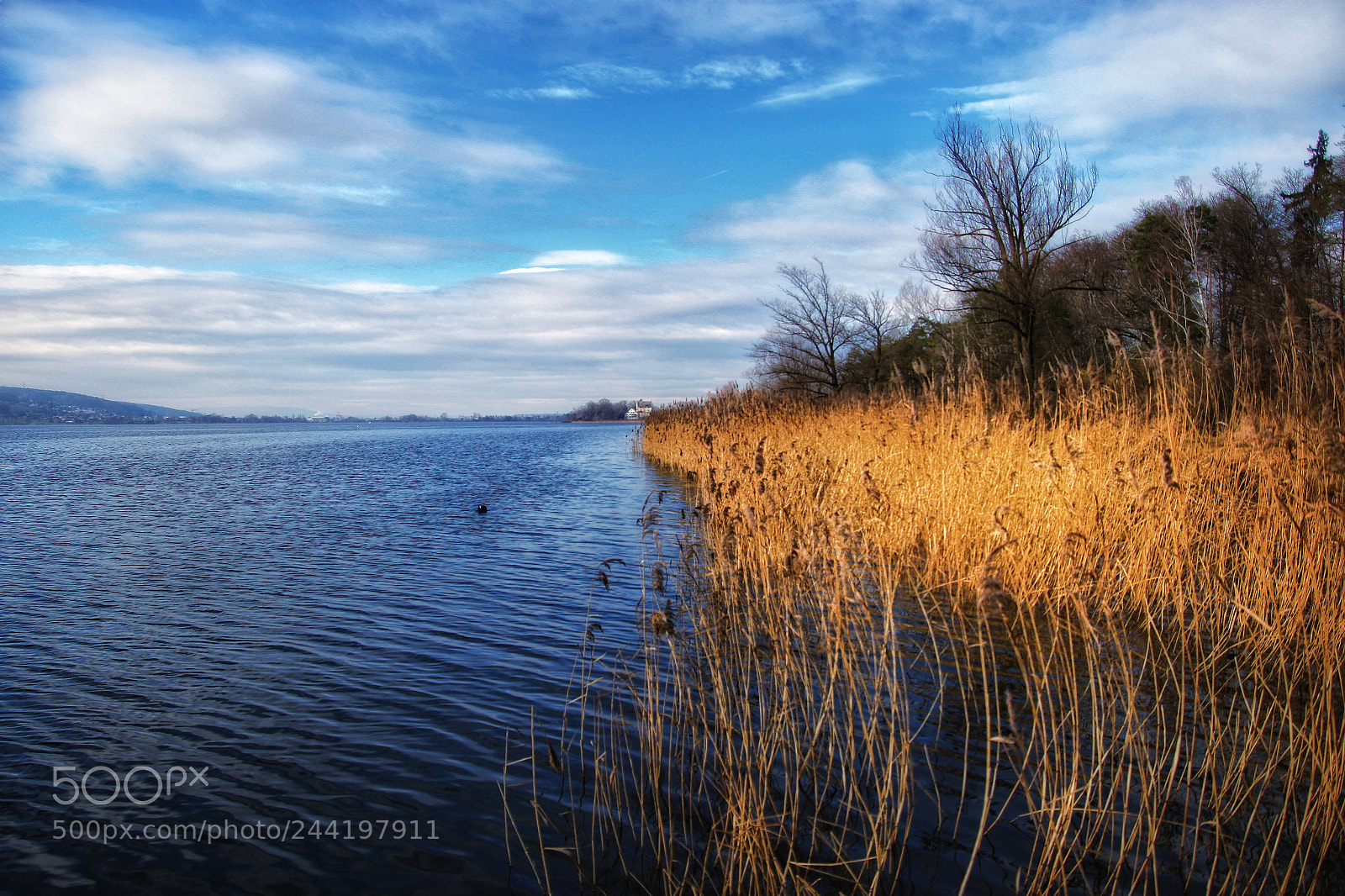 Canon EOS 7D Mark II sample photo. Wintertime photography