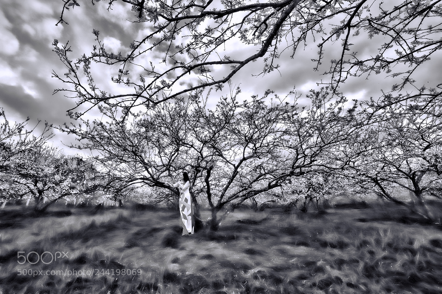 Canon EOS-1Ds Mark III sample photo. B&w photography