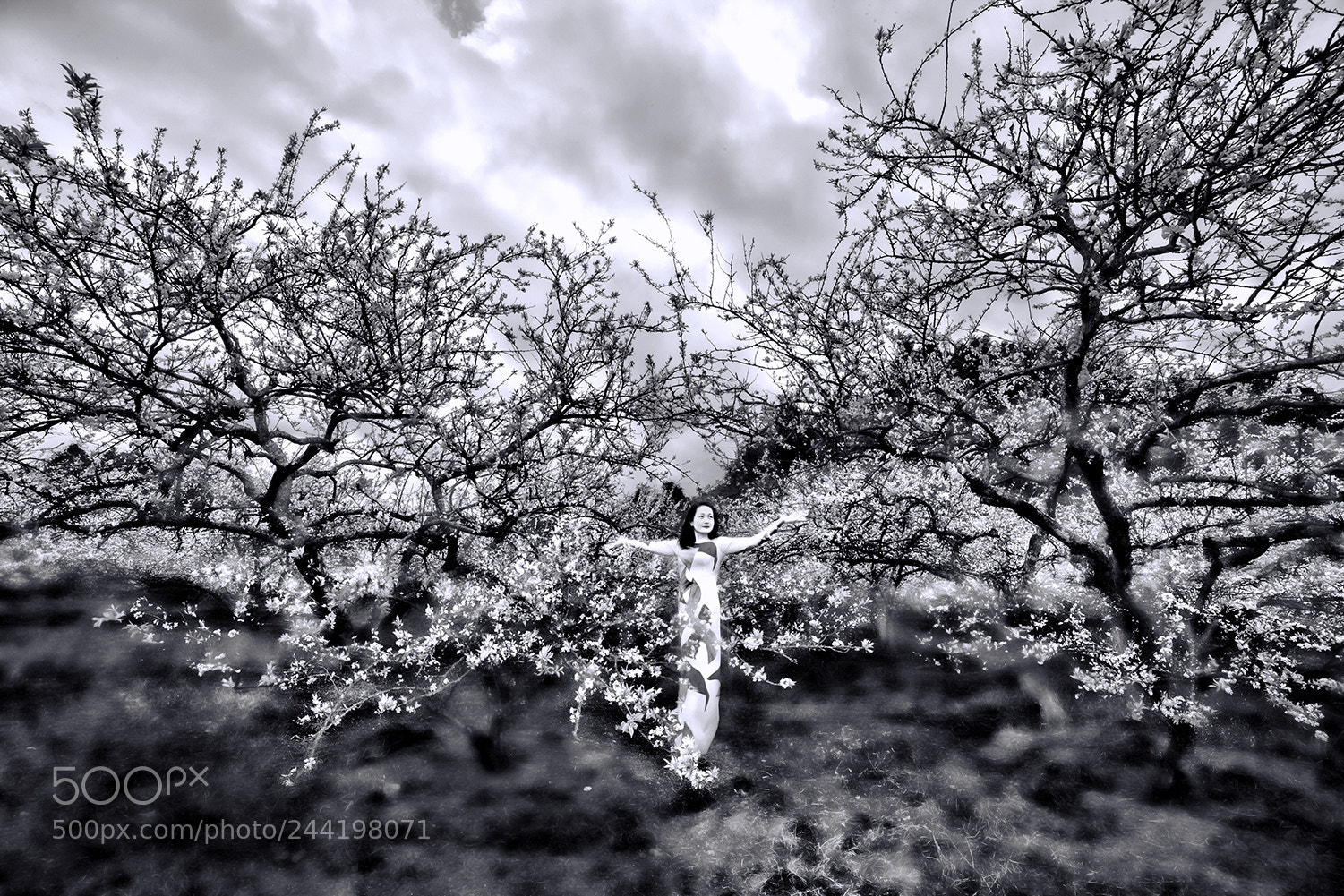 Canon EOS-1Ds Mark III sample photo. B&w photography