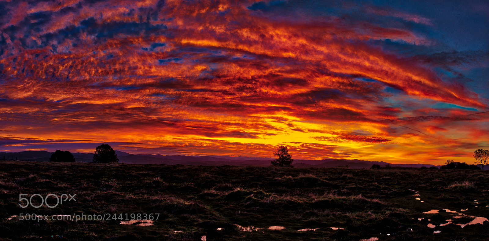Pentax K-3 II sample photo. Tuolumne sunrise photography