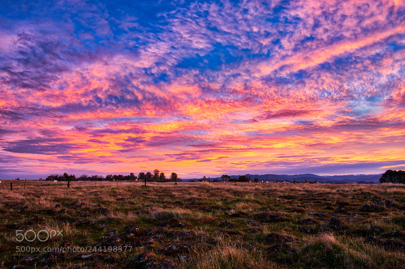 Pentax K-3 II sample photo. Tuolumne sunrise photography
