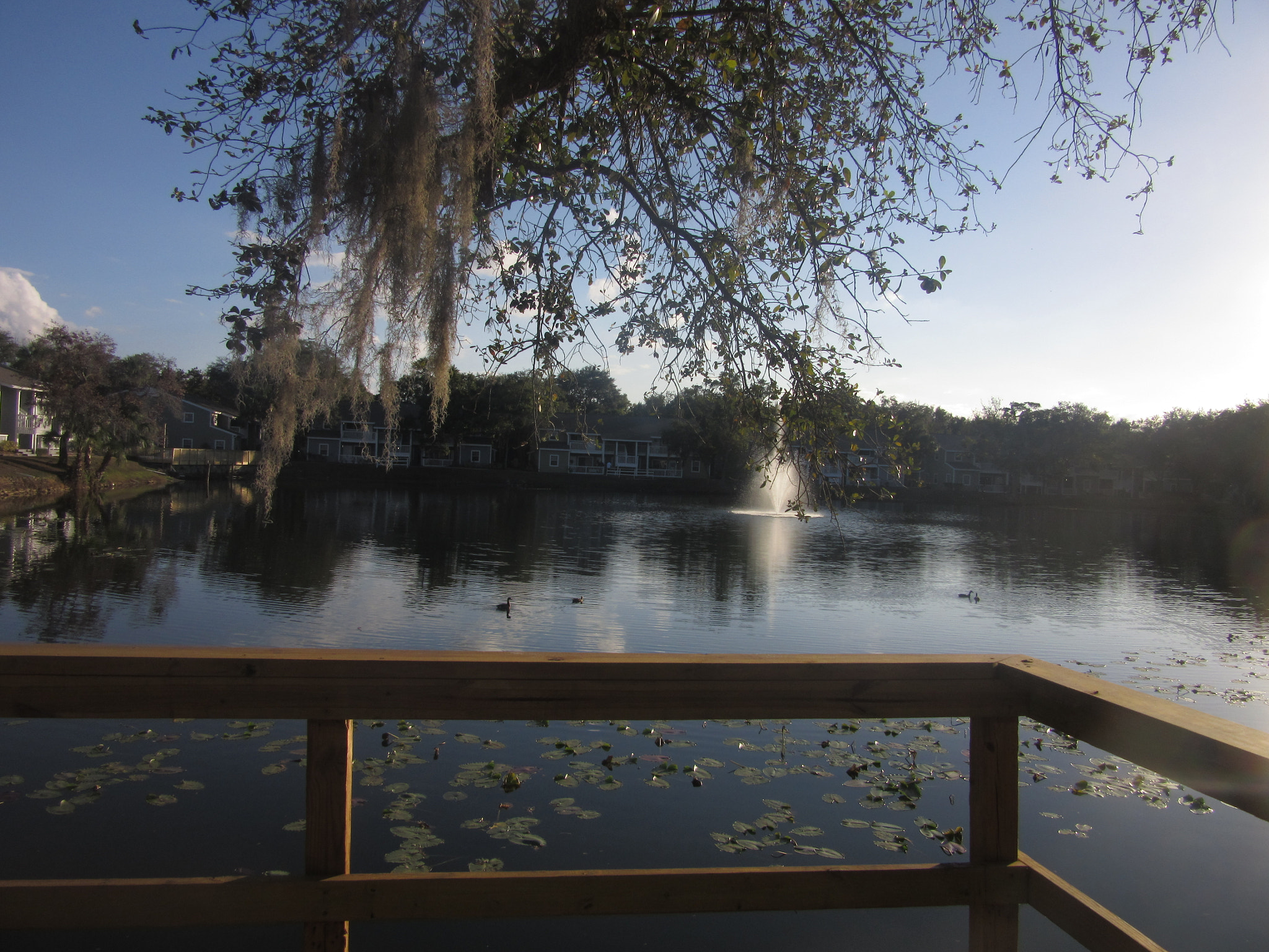 Canon PowerShot SX600 HS sample photo. Pond photography