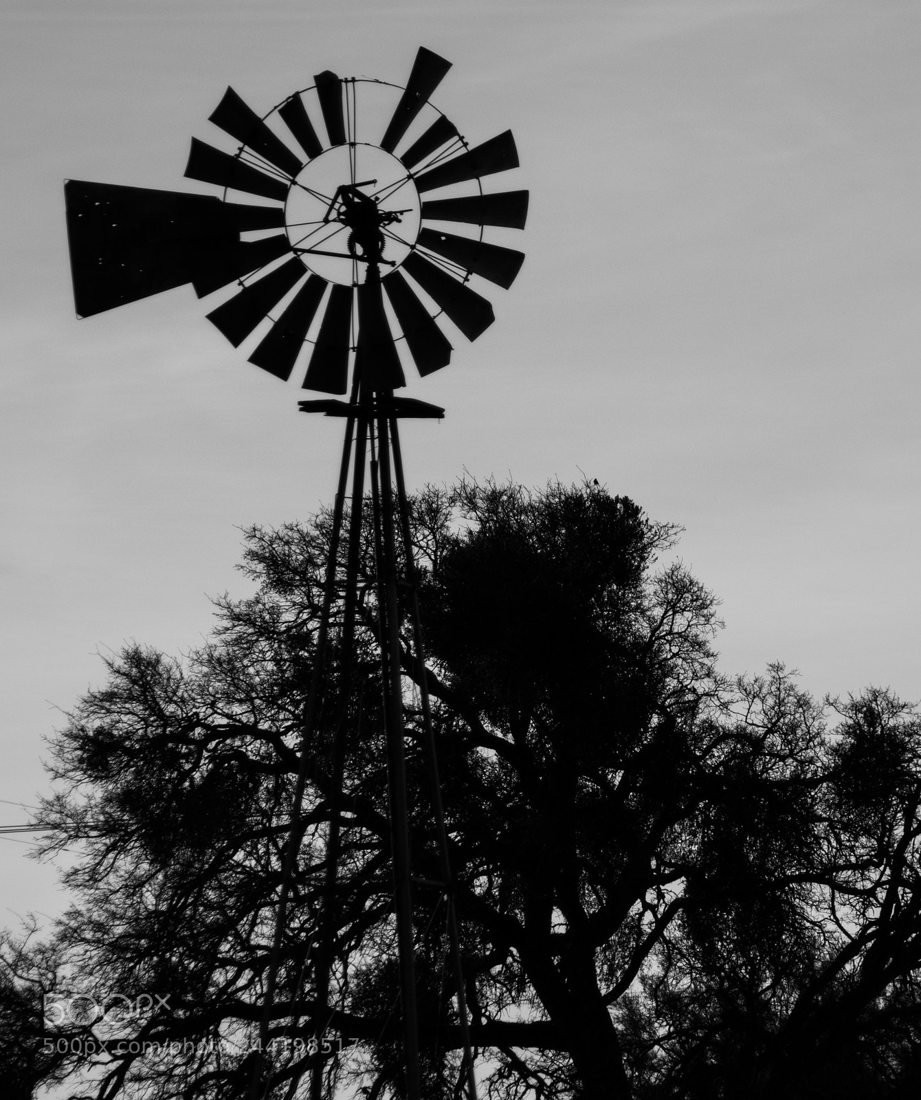 Pentax K-3 II sample photo. Tuolumne photography
