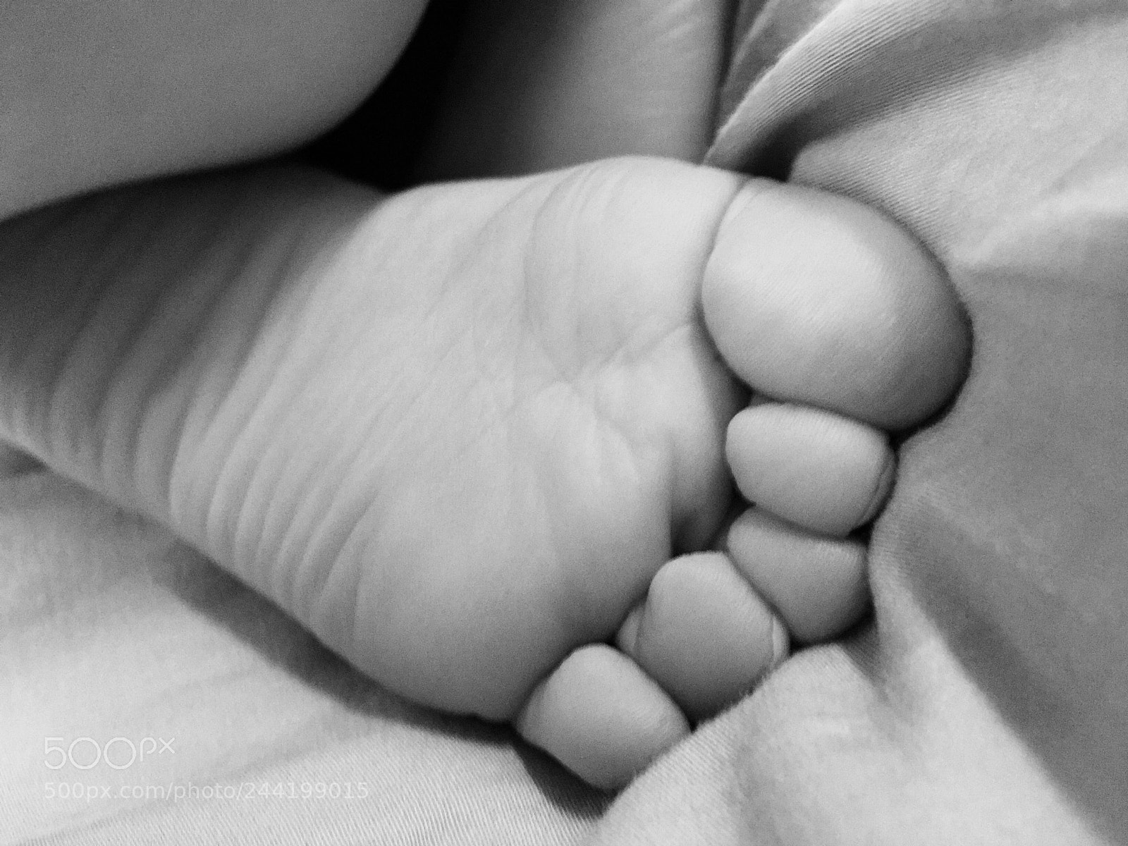 Apple iPhone 6 Plus sample photo. Little toes photography