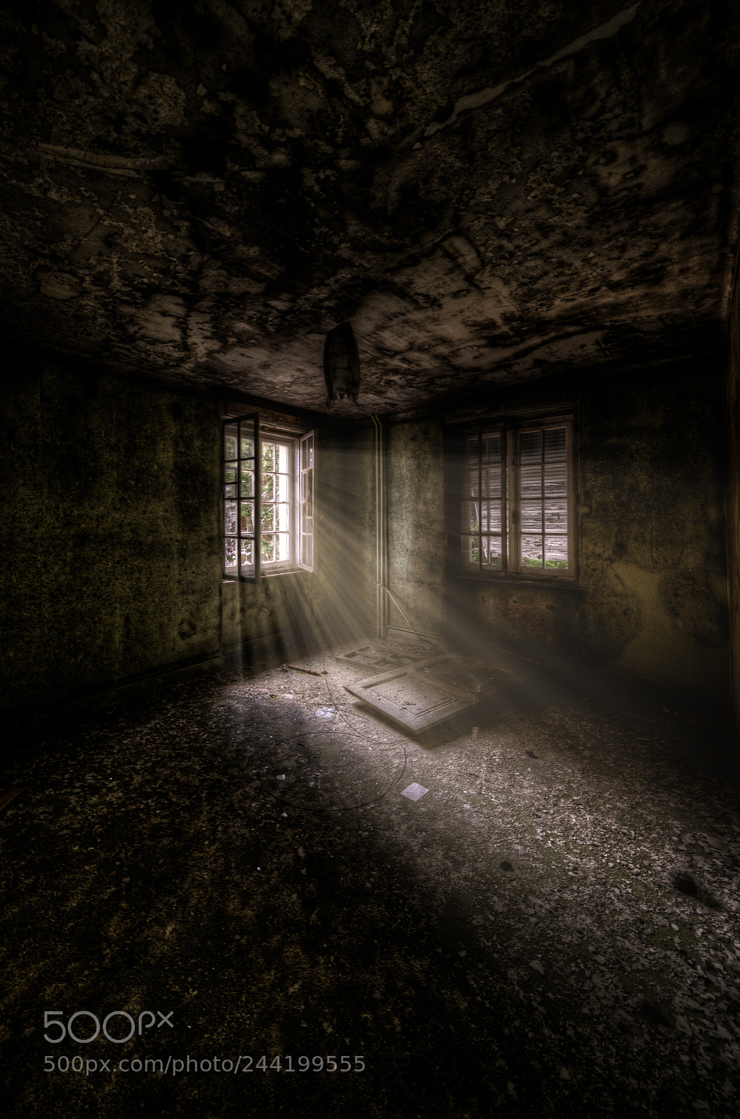 Sony a7R II sample photo. Light through the window photography