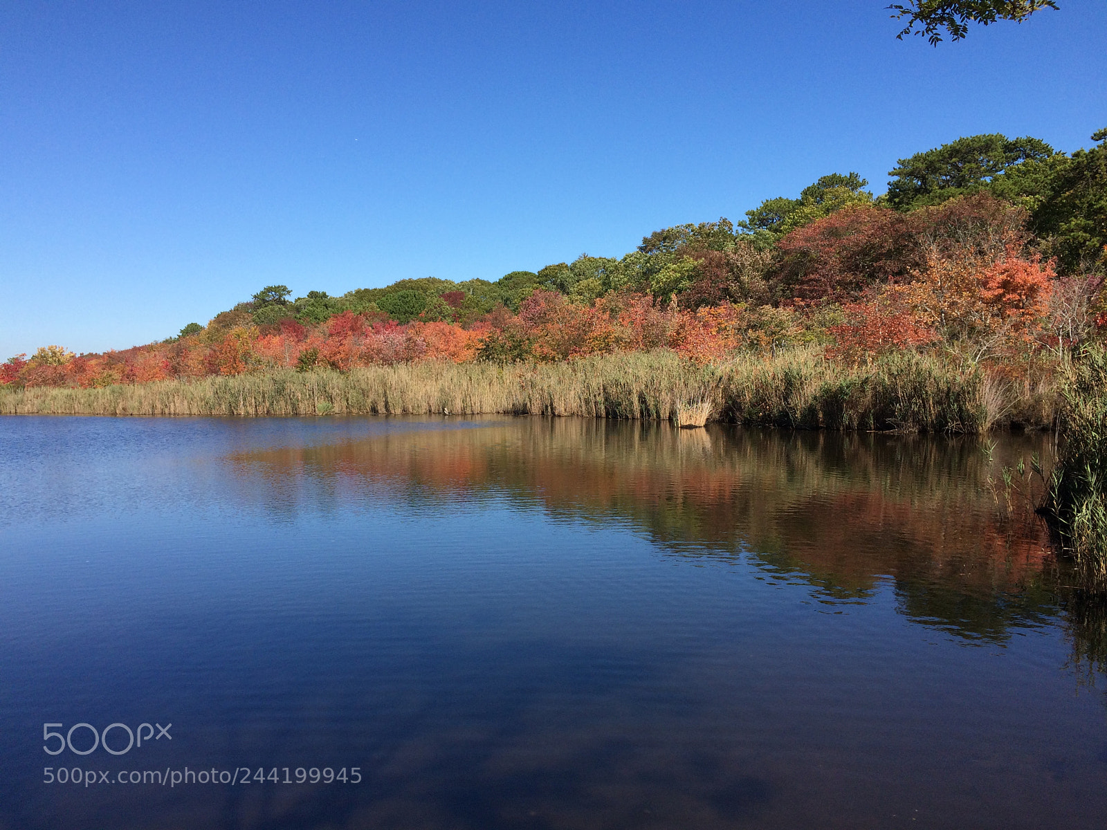 Apple iPhone 5s sample photo. Fall colors on the photography