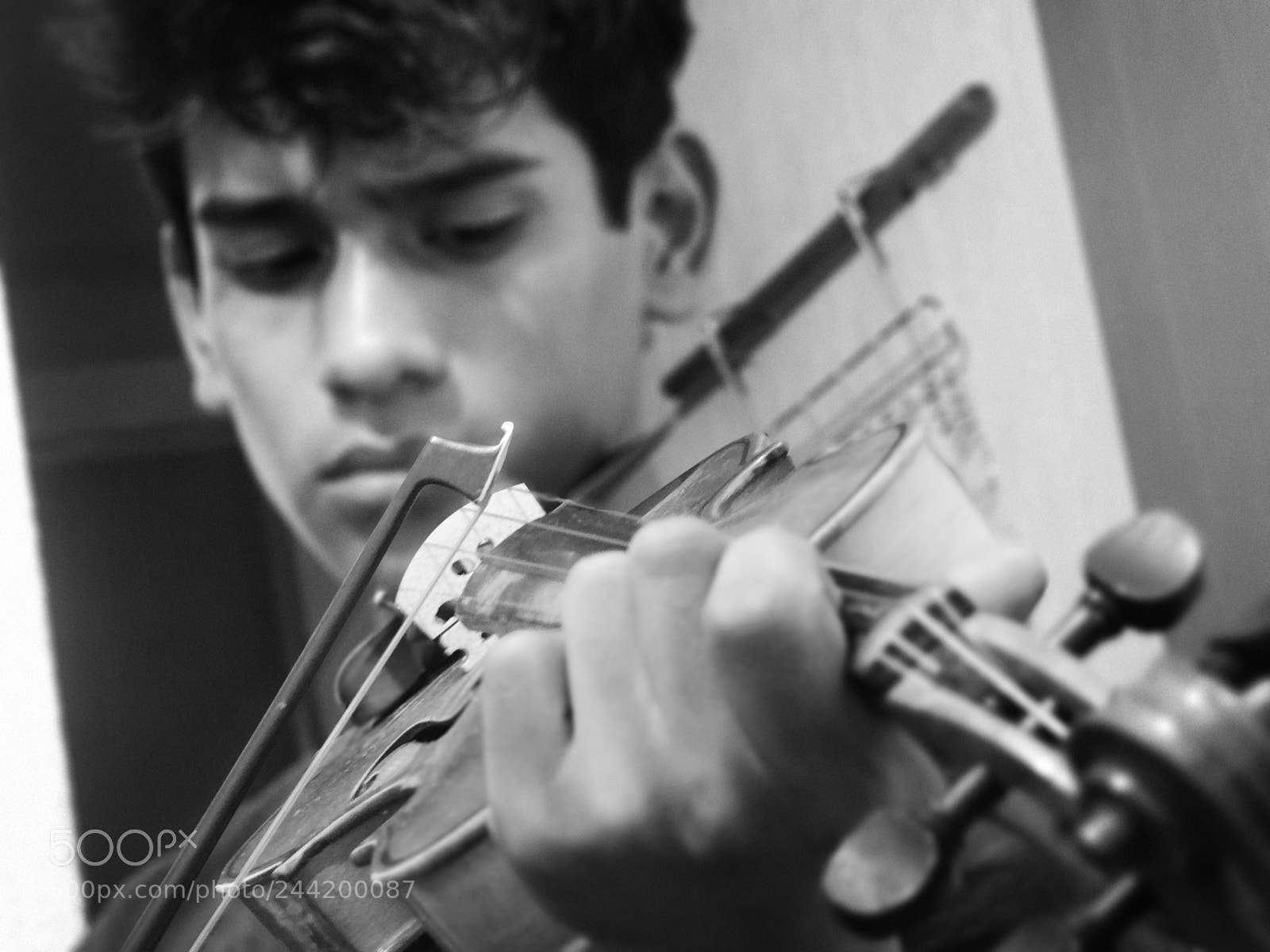 Sony DSC-HX200V sample photo. Violin photography