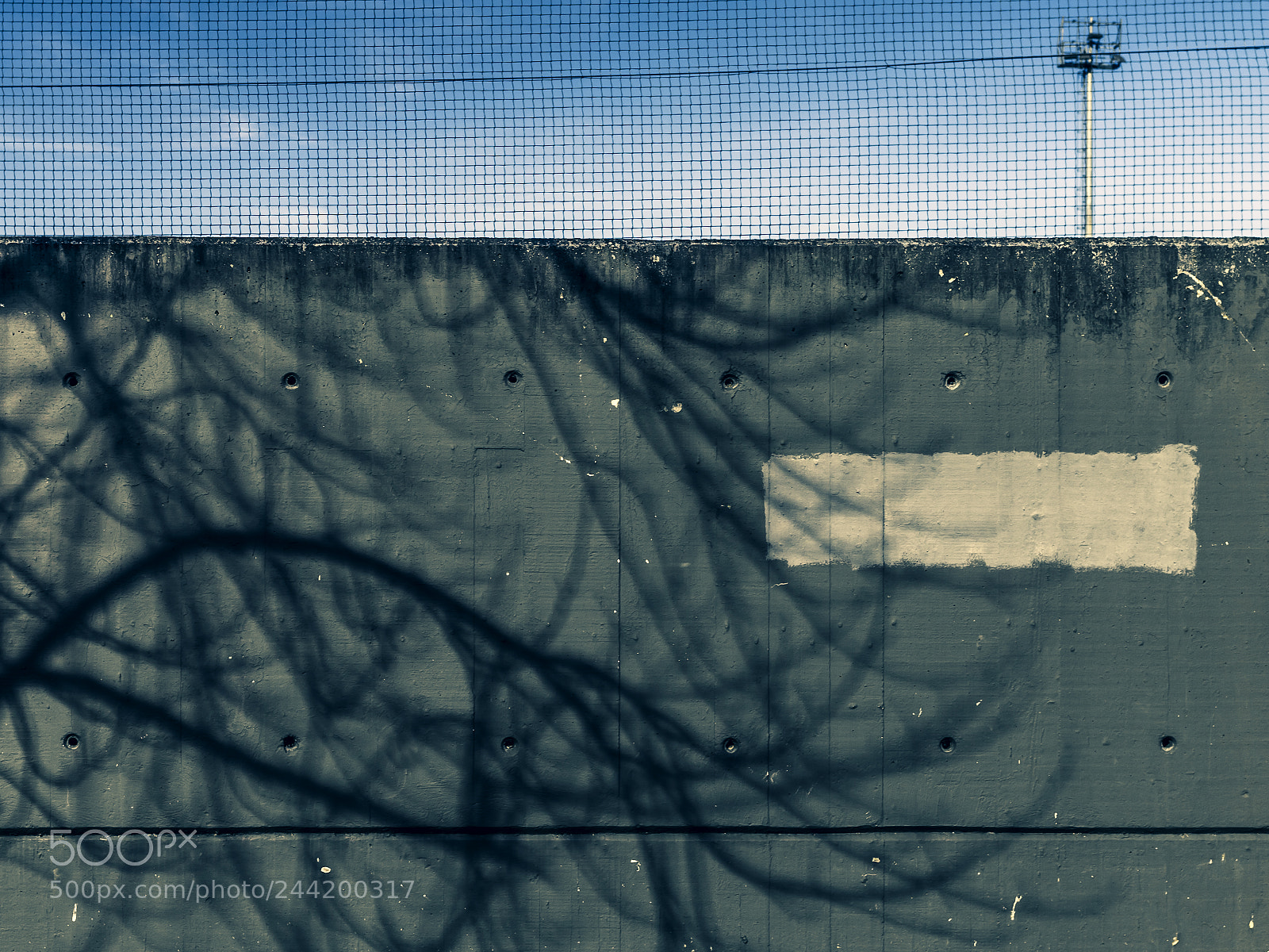 Pentax K-50 sample photo. _ photography