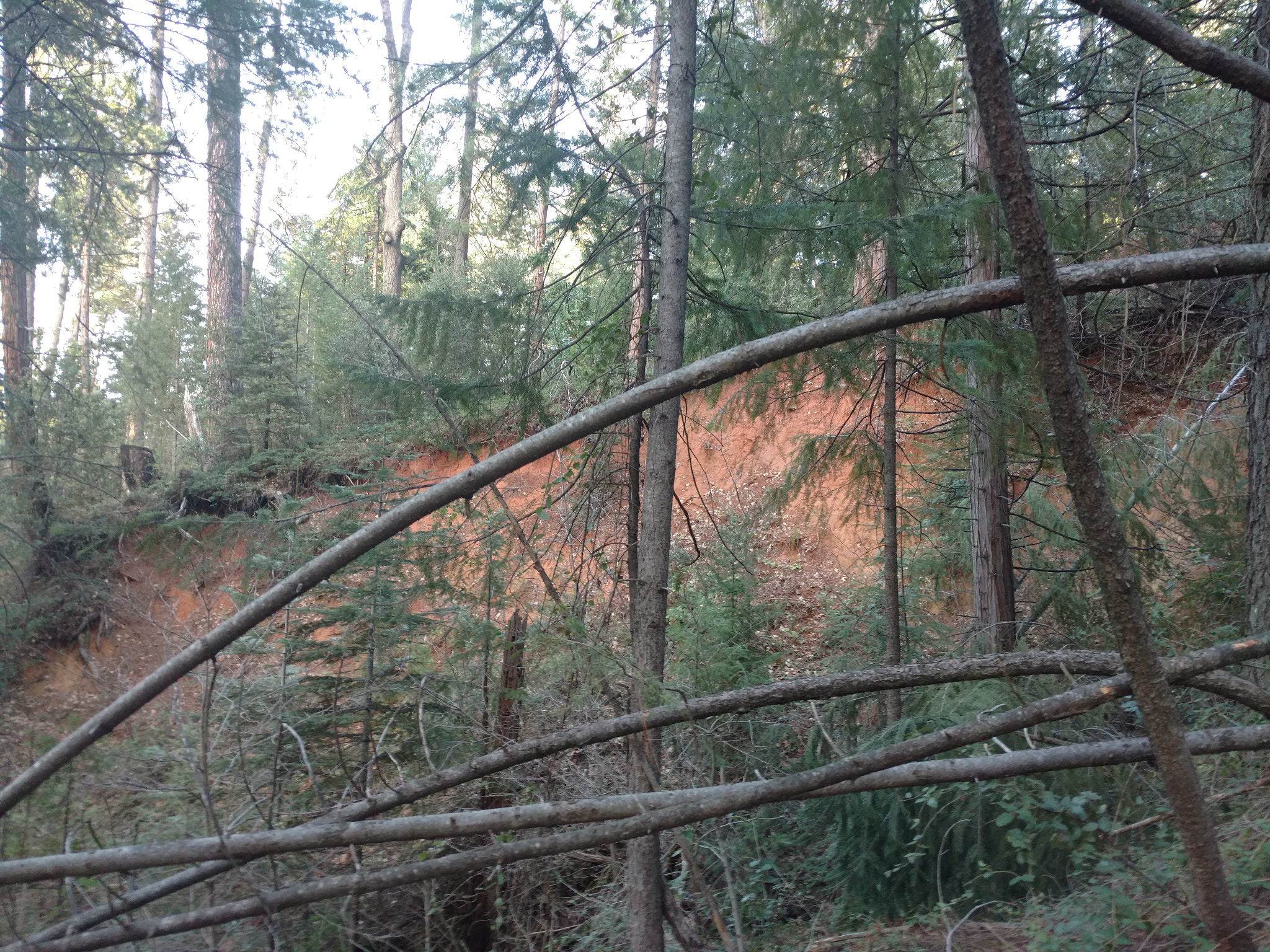 Motorola DROID Turbo 2 sample photo