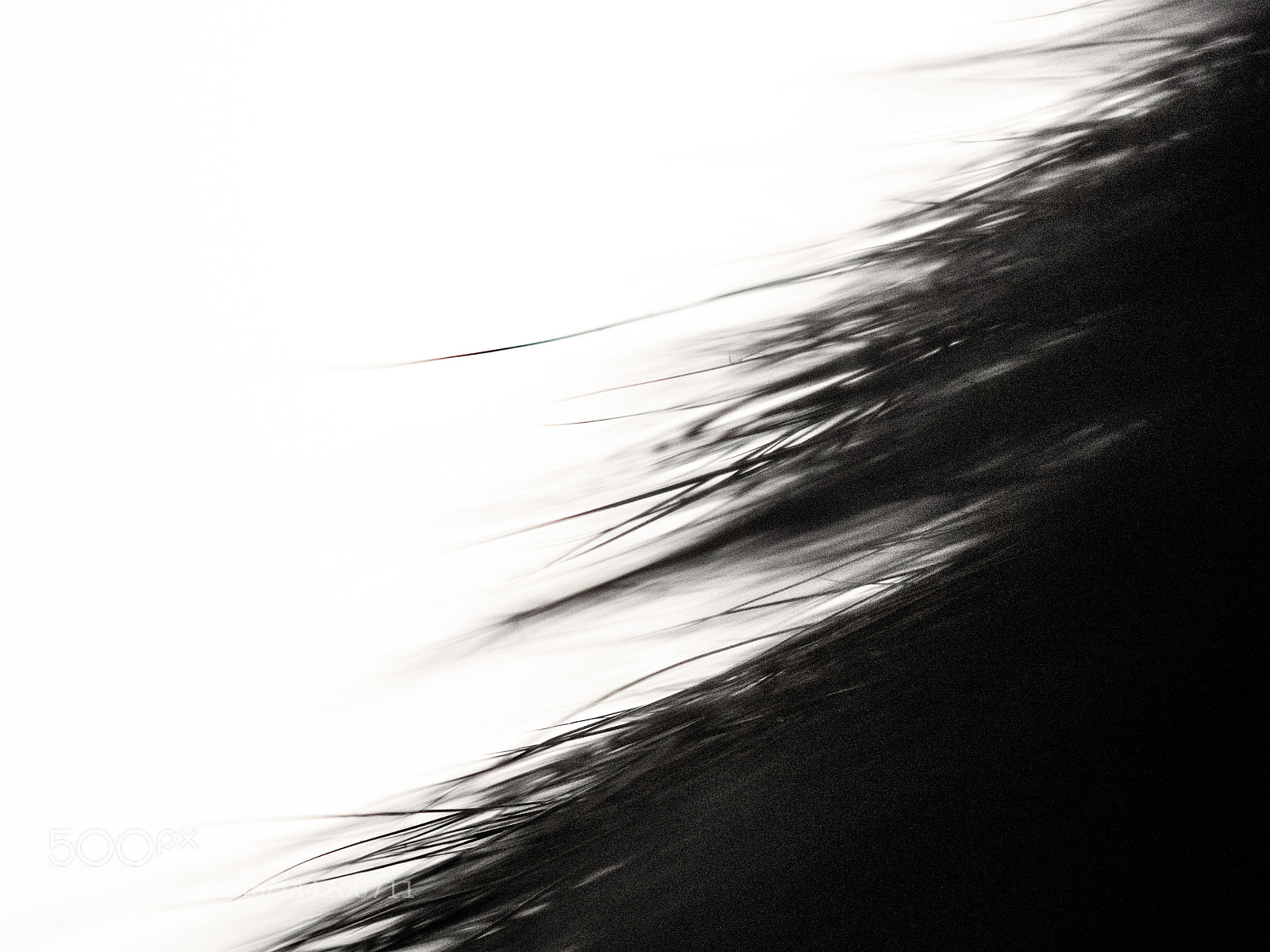 Olympus OM-D E-M5 II sample photo. Exhalation photography