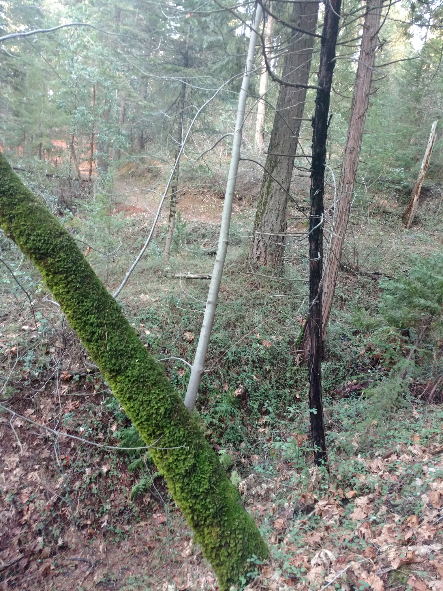 Motorola DROID Turbo 2 sample photo