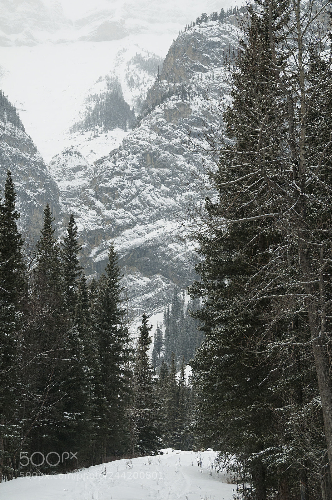 Nikon D300 sample photo. Cascade mountain photography