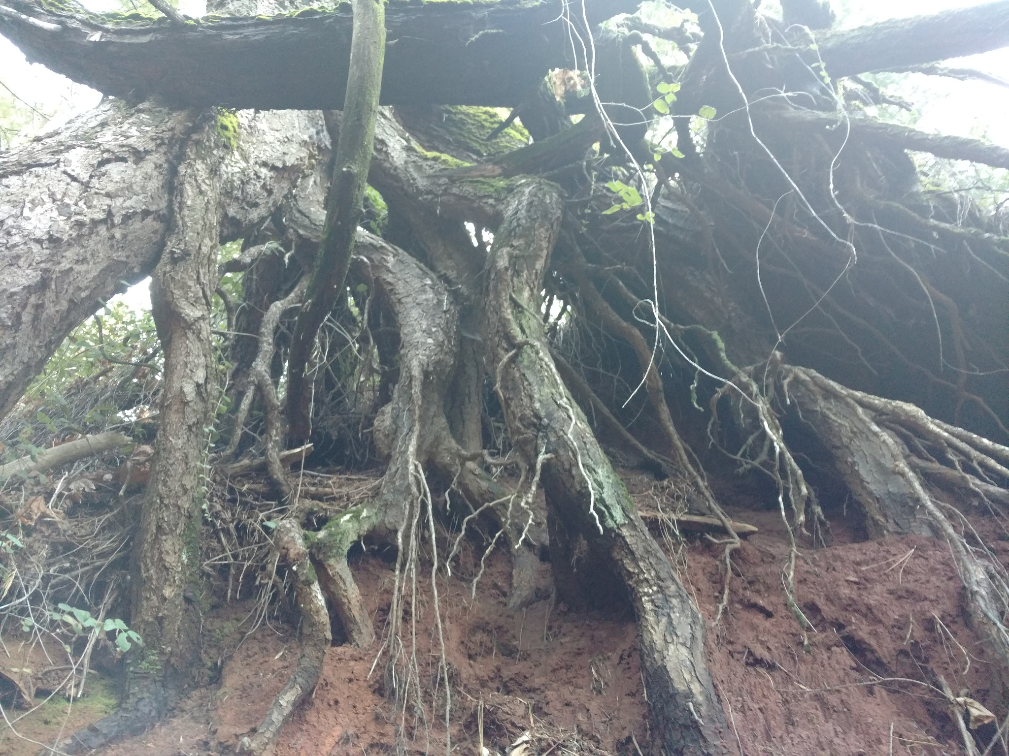 Motorola DROID Turbo 2 sample photo
