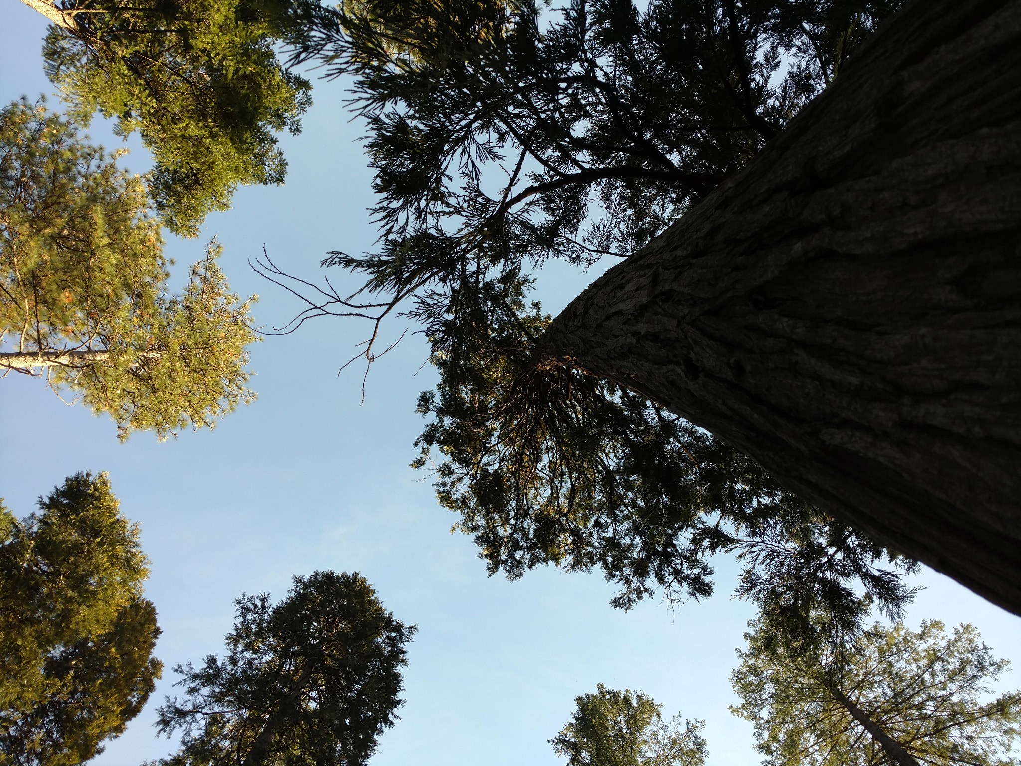 Motorola DROID Turbo 2 sample photo
