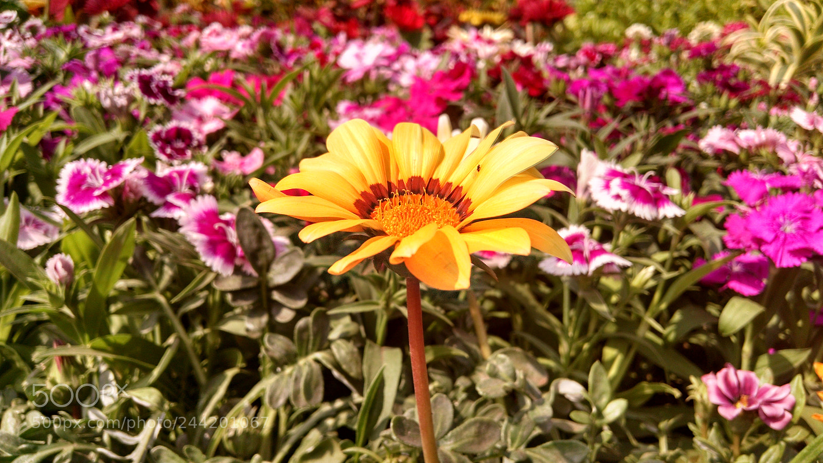 Motorola Moto X (1st Gen) sample photo. Hdr photography