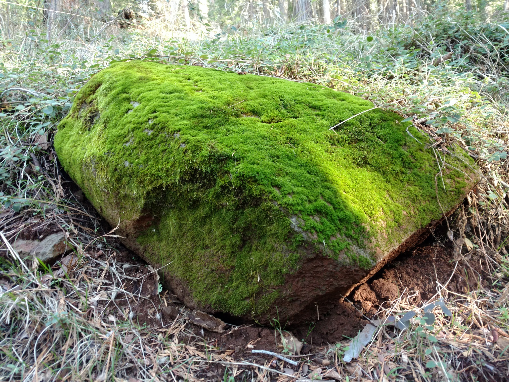 Motorola DROID Turbo 2 sample photo