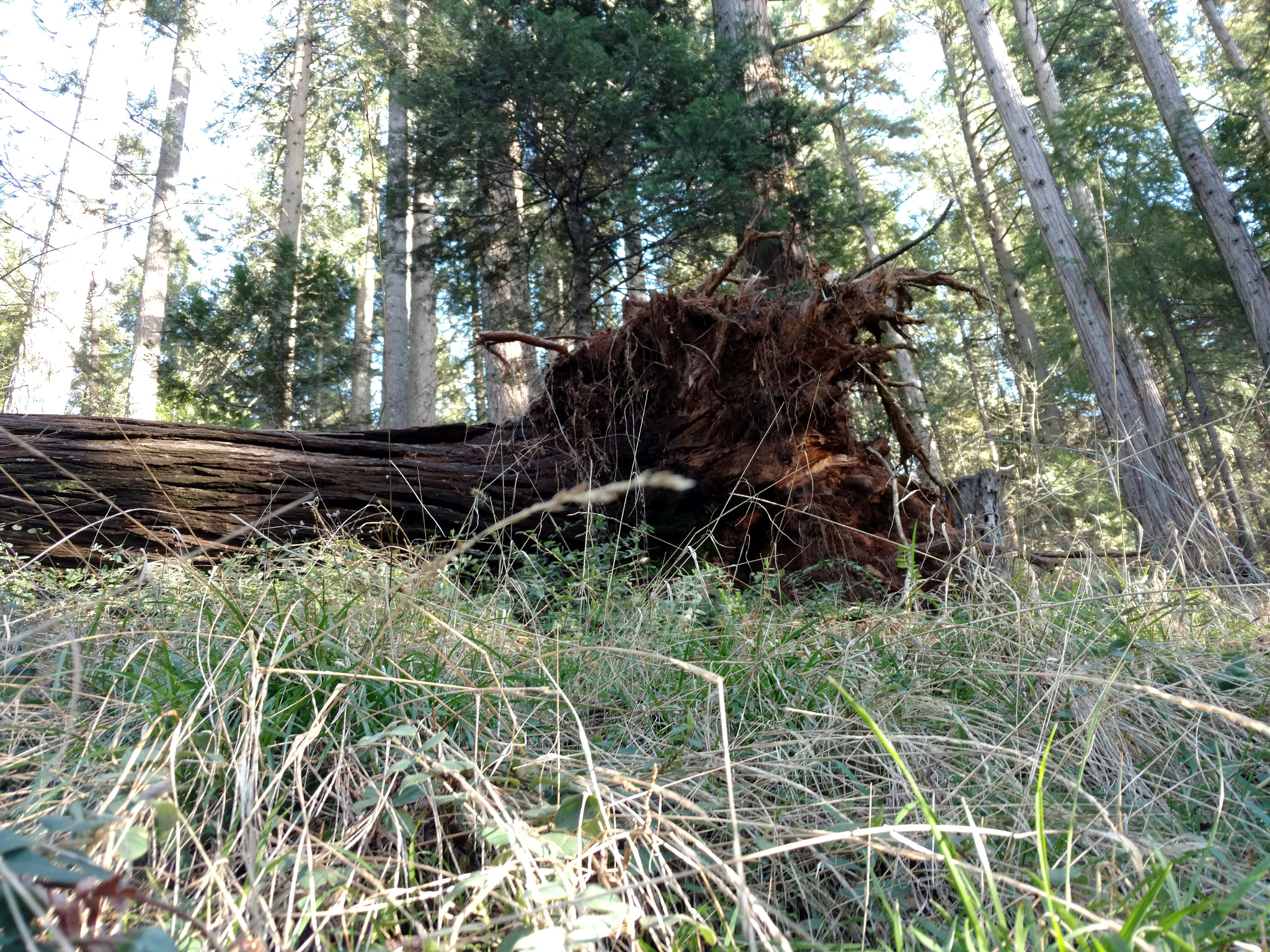 Motorola DROID Turbo 2 sample photo