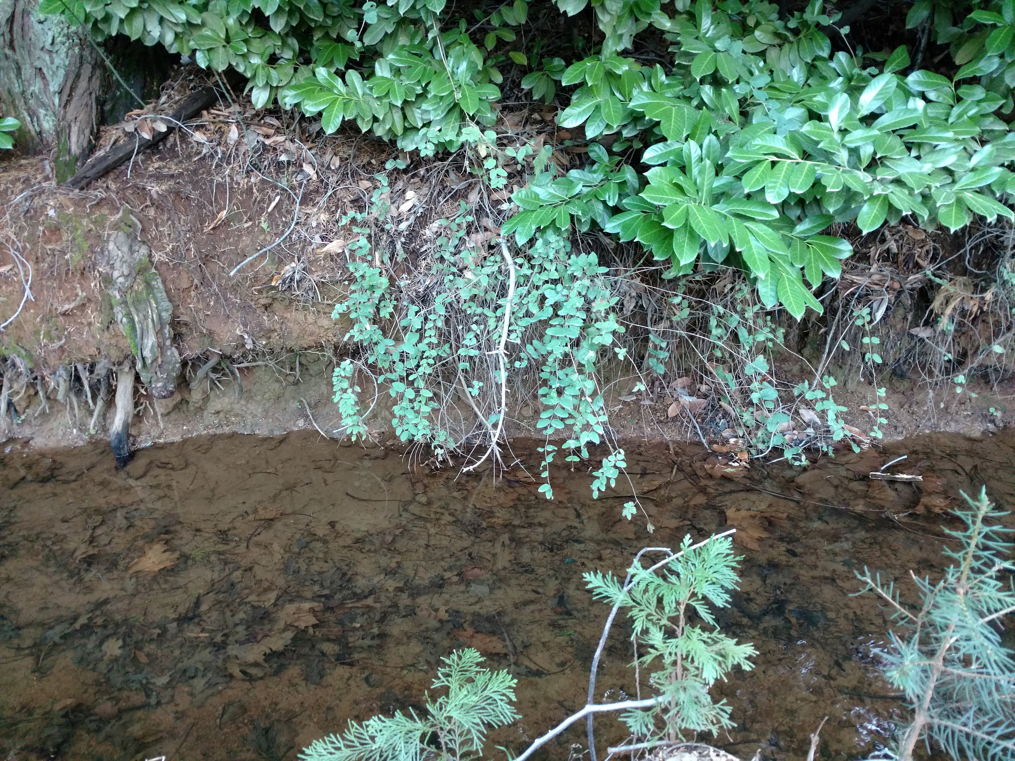 Motorola DROID Turbo 2 sample photo