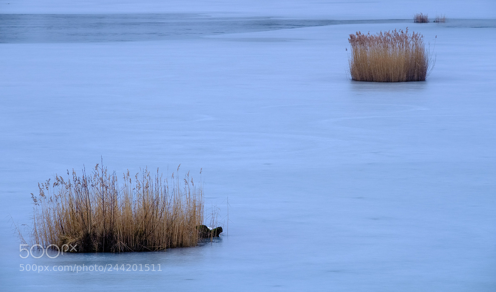 Fujifilm X-T2 sample photo. Winter lake photography